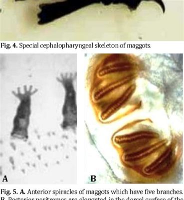  Worm-Like Wonders: Unveiling the Enigmatic World of the Wohlfahrtia magnifica